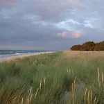 Appartement Am Zingst